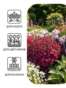 Семена цветов Лобелия «Император Вильям», 0.05 г, однолетник, «Аэлита»