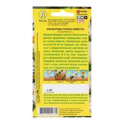 Семена цветов Хризантема махровая «Платье невесты», однолетник, 0.05 г, «Аэлита»