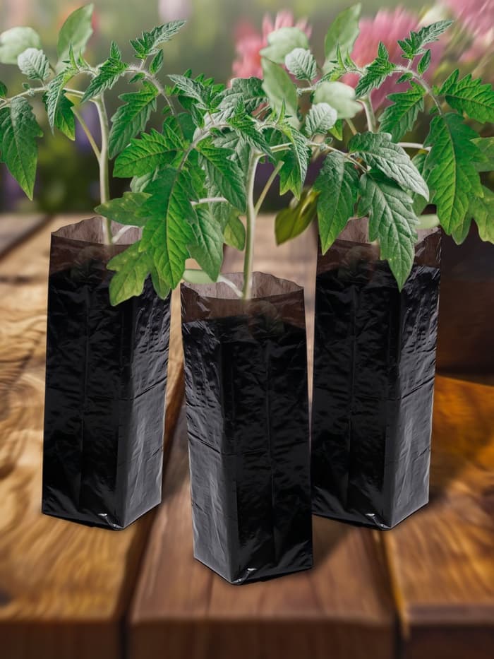 Пакет для рассады, 1.6 л, 8×30 см, полиэтилен толщиной 50 мкм, с перфорацией, чёрный, Greengo