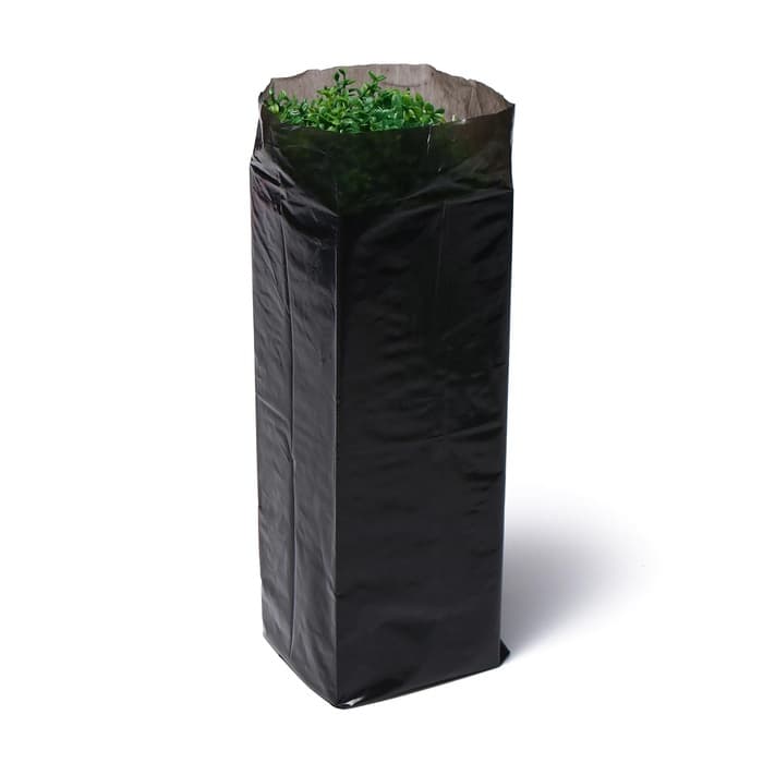 Пакет для рассады, 1.6 л, 8×30 см, полиэтилен толщиной 50 мкм, с перфорацией, чёрный, Greengo