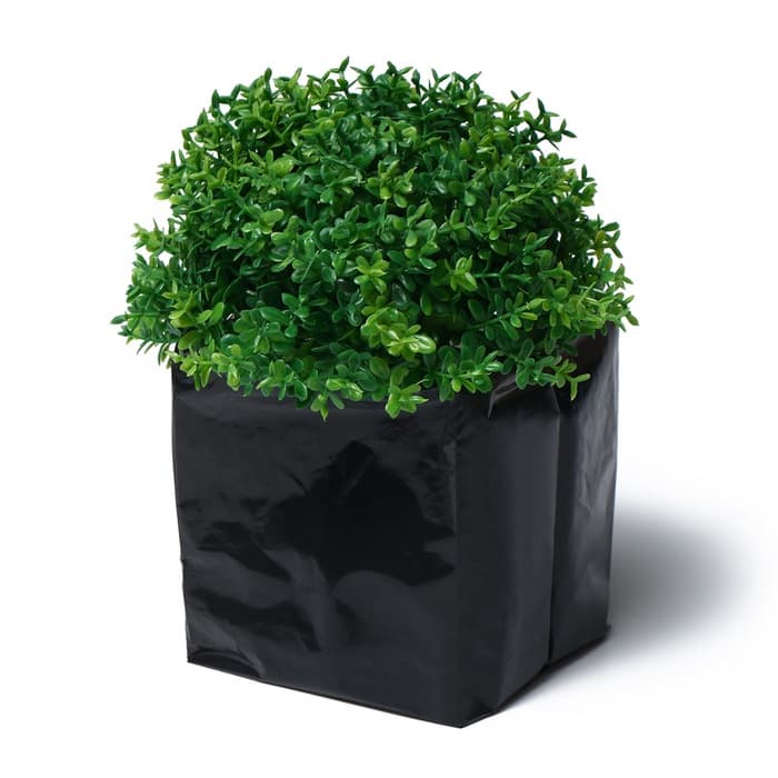 Пакет для рассады, 300 мл, 13×7 см, полиэтилен, толщина 50 мкм, с перфорацией, чёрный, Greengo