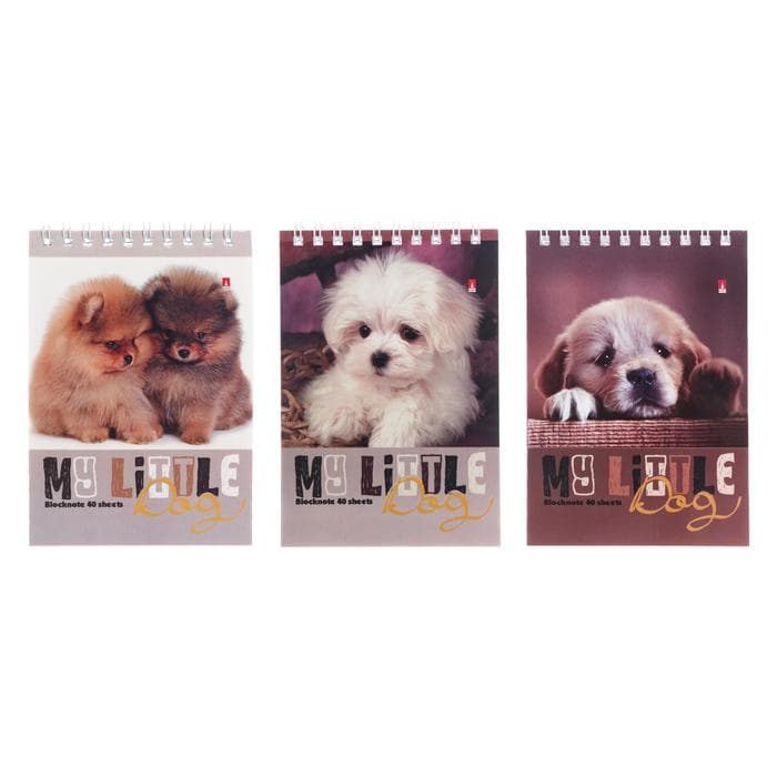 Блокнот А6, 40 листов на гребне «Собаки», обложка ламинированный картон, МИКС