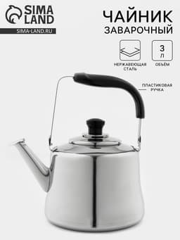 Чайник «Чайковский», 3 л, нержавеющая сталь, хромированный