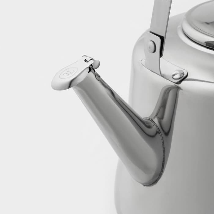 Чайник «Чайковский», 3 л, нержавеющая сталь, хромированный