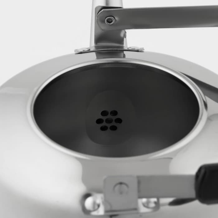 Чайник «Чайковский», 3 л, нержавеющая сталь, хромированный