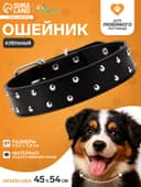 Ошейник, 63.5×3.8 см, клёпаный в 2 ряда, чёрный