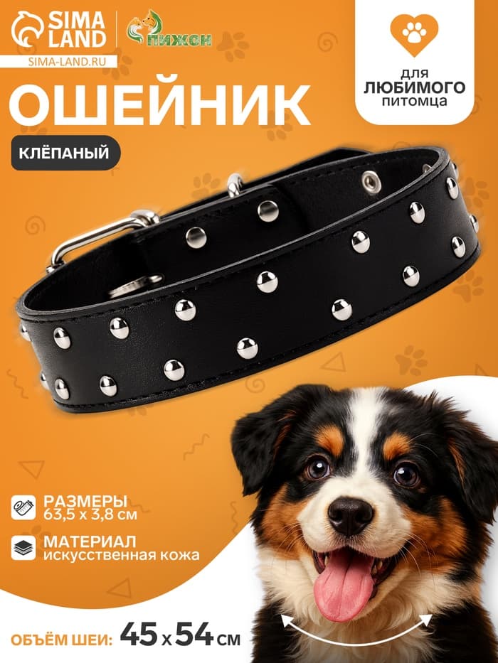Ошейник, 63.5×3.8 см, клёпаный в 2 ряда, чёрный