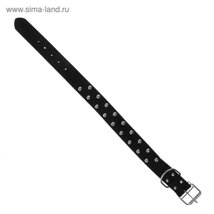 Ошейник, 63.5×3.8 см, клёпаный в 2 ряда, чёрный