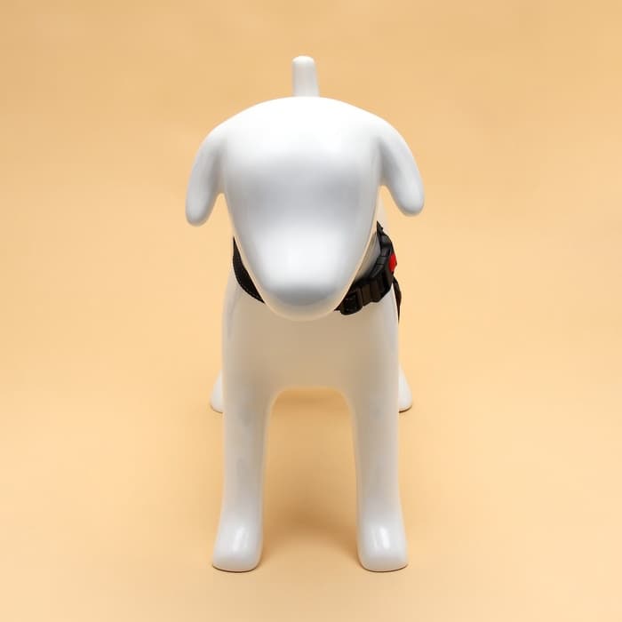 Шлейка К7, размер S, ОГ 44-55 см, вес 5-9 кг, мягкая, светоотражающая, красная