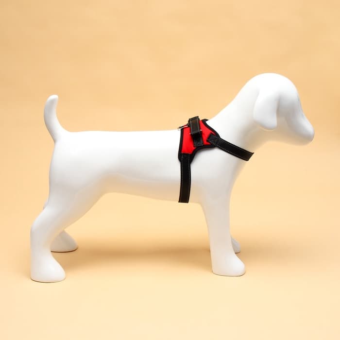 Шлейка К7, размер S, ОГ 44-55 см, вес 5-9 кг, мягкая, светоотражающая, красная