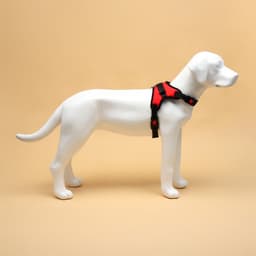 Шлейка К7, размер М, ОГ 52-66 см, вес 9.5-17.5 кг, мягкая, светоотражающая, красная