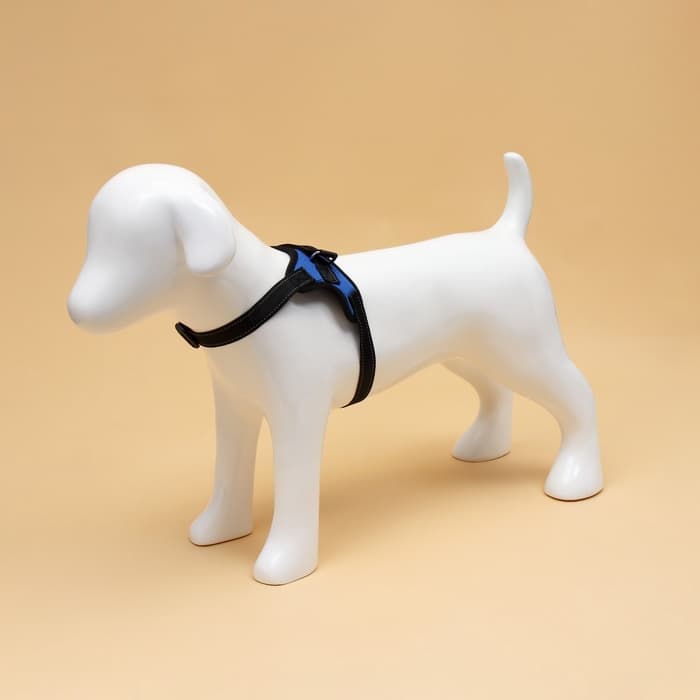 Шлейка К7, размер S, ОГ 44-55 см, вес 5-9 кг, мягкая, светоотражающая, синяя