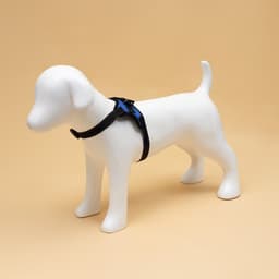 Шлейка К7, размер S, ОГ 44-55 см, вес 5-9 кг, мягкая, светоотражающая, синяя