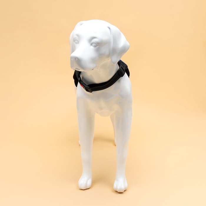 Шлейка К7, размер L, ОГ 64-86 см, вес 18- 27.5 кг, мягкая, светоотражающая, синяя