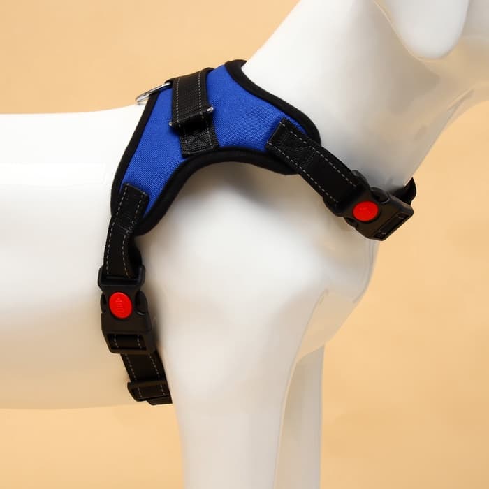 Шлейка К7, размер L, ОГ 64-86 см, вес 18- 27.5 кг, мягкая, светоотражающая, синяя