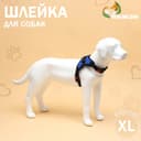 Шлейка К7, размер XL, ОГ 74-92 см, вес 28-47.5 кг, мягкая, светоотражающая, синяя