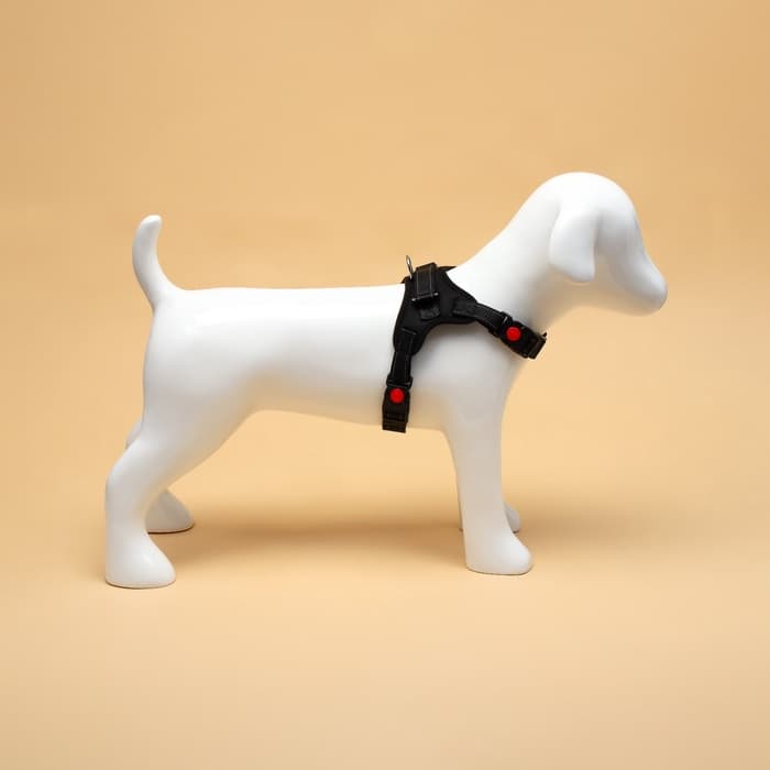 Шлейка К7, размер S, ОГ 44-55 см, вес 5-9 кг, мягкая, светоотражающая, чёрная