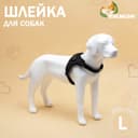 Шлейка К7, размер L, ОГ 64-86 см, вес 18-27.5 кг, мягкая, светоотражающая, чёрная