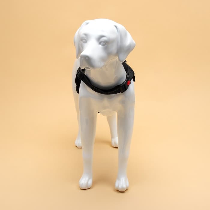 Шлейка К7, размер XL, ОГ 74-92 см, вес 28-47.5 кг, мягкая, светоотражающая, чёрная