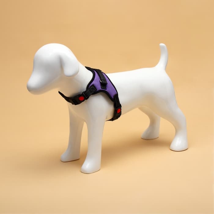 Шлейка К7, размер S, ОГ 44-55 см, вес 5-9 кг, мягкая, светоотражающая, фиолетовая