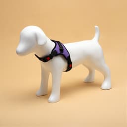 Шлейка К7, размер S, ОГ 44-55 см, вес 5-9 кг, мягкая, светоотражающая, фиолетовая