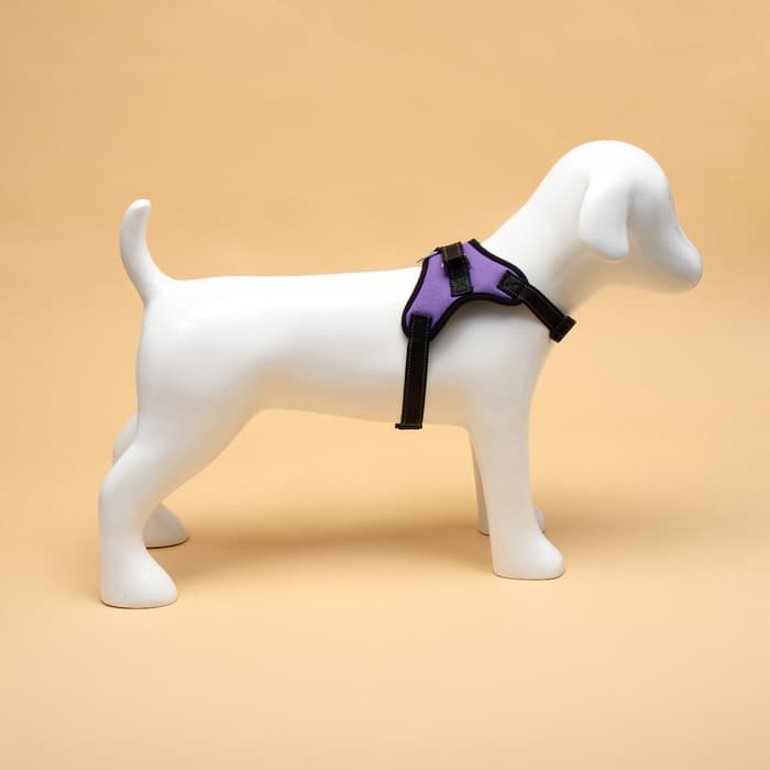 Шлейка К7, размер S, ОГ 44-55 см, вес 5-9 кг, мягкая, светоотражающая, фиолетовая