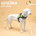Шлейка улучшенная К7, размер L, ОГ 64-86 см, вес 18- 27.5 кг, мягкая, светоотражающая, зеленая