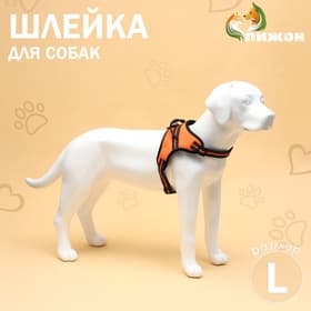 Шлейка улучшенная К7, размер L, ОГ 64-86 см, вес 18-27.5 кг, мягкая, светоотражающая, оранжевая