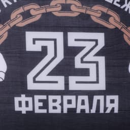 Подушка декоративная антистресс «23 февраля»