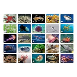 Настольная игра «Мемо. Подводный мир»