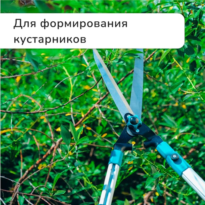 Кусторез, 31−44.5" (79−113 см), телескопический, с металлическими ручками, Greengo