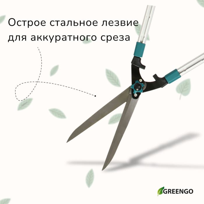 Кусторез, 31−44.5" (79−113 см), телескопический, с металлическими ручками, Greengo