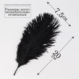 Перо для декора 1 шт., размер — 20.5×7.5 см, чёрное