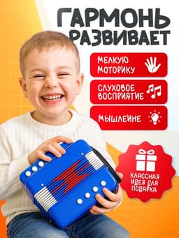 Музыкальная игрушка ZABIAKA «Гармонь», синяя