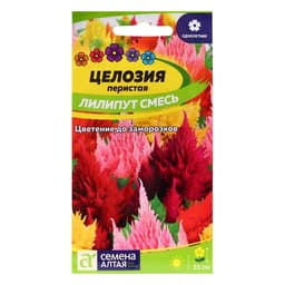 Семена цветов Целозия перистая «Лилипут», смесь,, 0.05 г- 0.1 г, «Семена Алтая»