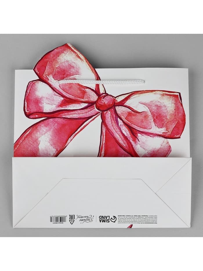 Пакет подарочный, упаковка, «Подарок», 25×22×10 см