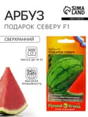 Семена Арбуз «Подарок Северу» F1, 10 шт., «Русский огород» серия Профи