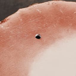 Настенный декор, панно «Голова льва», 23×35×52 см, под бронзу