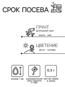 Семена цветов Лаватера "Садовая роза" смесь, серия Кольчуга, О, 0,3 г