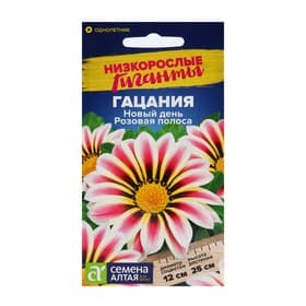 Семена цветов Гацания Новый день «Розовая полоса», ц/п, для балкона, веранды, цветника, однолетник, низкорослая, ц/п, 5 шт.