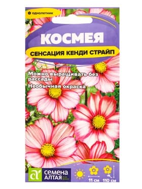 Семена цветов Космея «Сенсация Кенди Страйп», 0.3 г, «Семена Алтая»