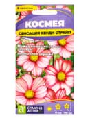 Семена цветов Космея «Сенсация Кенди Страйп», 0.3 г, «Семена Алтая»
