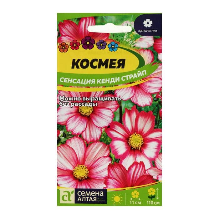 Семена цветов Космея «Сенсация Кенди Страйп», 0.3 г, «Семена Алтая»
