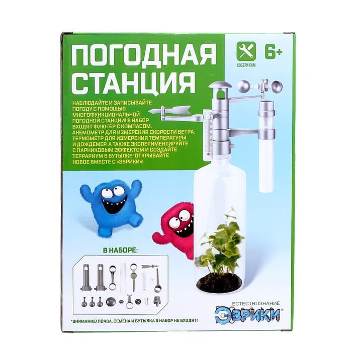 Набор для опытов «Погодная станция», своими руками