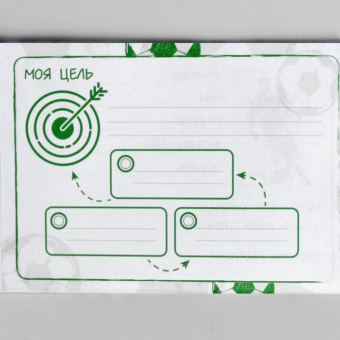 Дневник тренировок «Футбол», 48 листов, 15.3×12.4 см