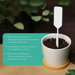 Таблички садовые для маркировки, 15 см, с карандашом, набор 20 шт., пластик, белые