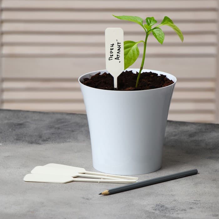 Таблички садовые для маркировки, 15 см, с карандашом, набор 20 шт., пластик, белые