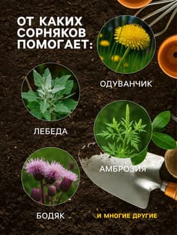 Средство для уничтожения сорняков на картофеле «Лазурит», 20 г