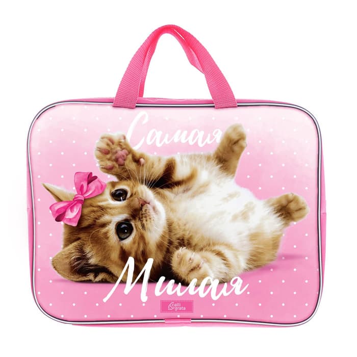 Папка для труда, А4, текстильная, 35×27×7 см «Самая милая»