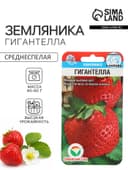 Семена Земляника «Гигантелла», 10 шт., «Сибирский сад»